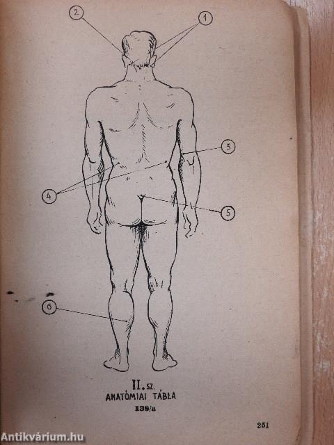 Fegyvernélküli önvédelem