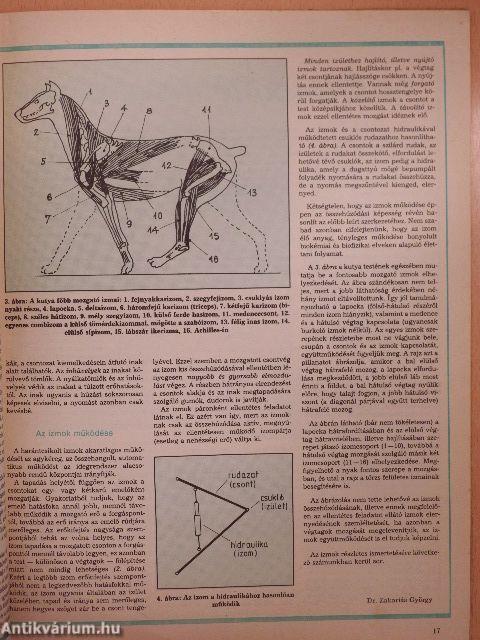 Kutya 1987. (nem teljes évfolyam)