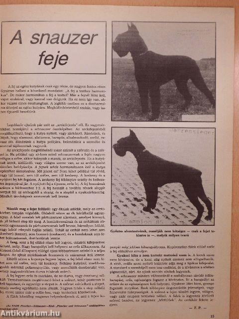 Kutya 1987. (nem teljes évfolyam)