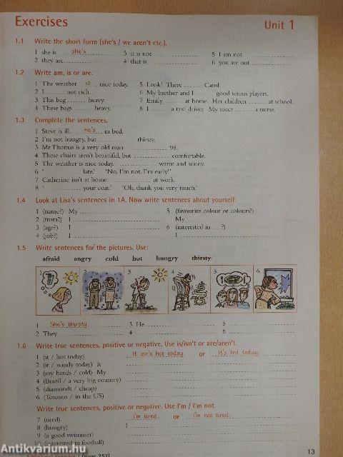 Essential Grammar in Use 