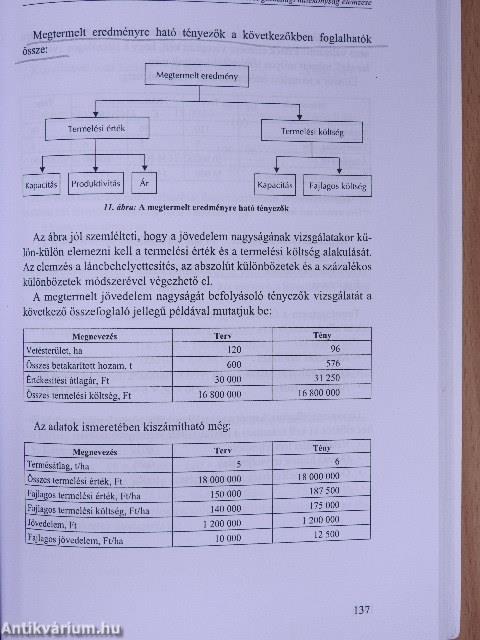 A vállalkozások tevékenységének komplex elemzése