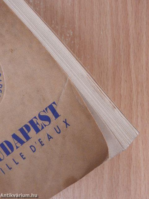 Budapest ville d'eaux