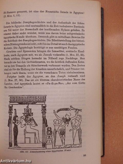 Und die Bibel hat doch recht