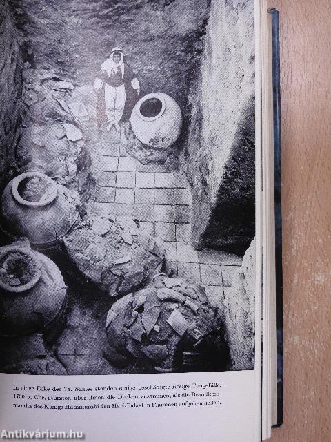 Und die Bibel hat doch recht