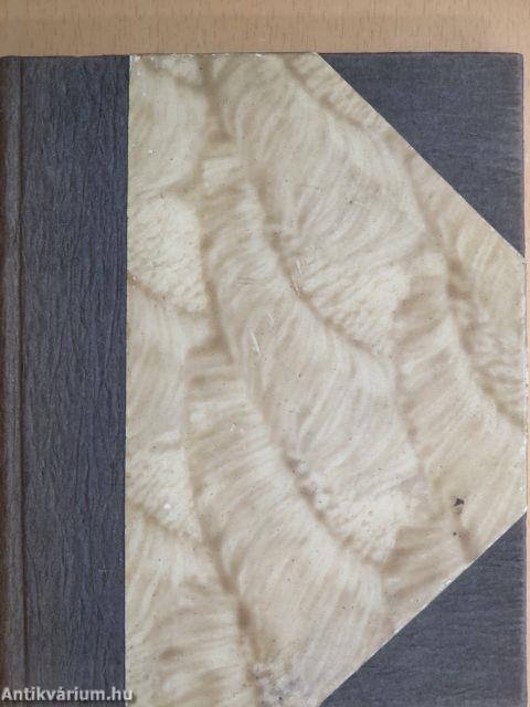 A relativitás tanának világszemlélete