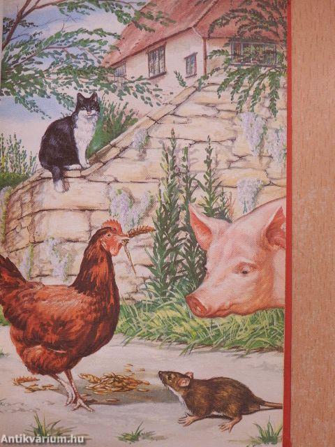 The Little Red Hen and the Grains of Wheat