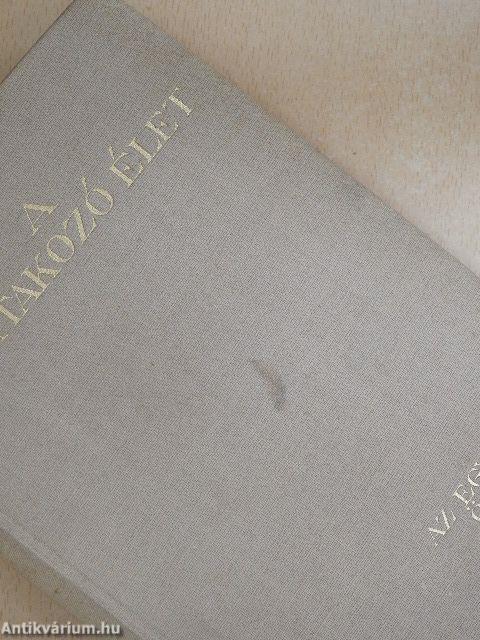 Az egyéniség összetevői