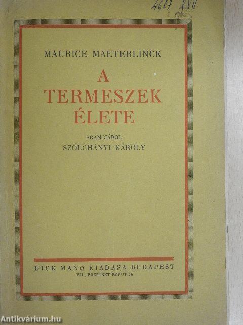 A termeszek élete