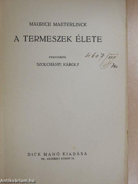 A termeszek élete