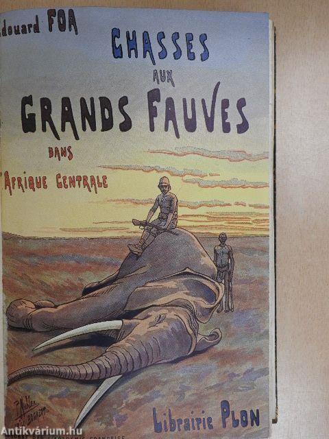 Chasses aux grands fauves