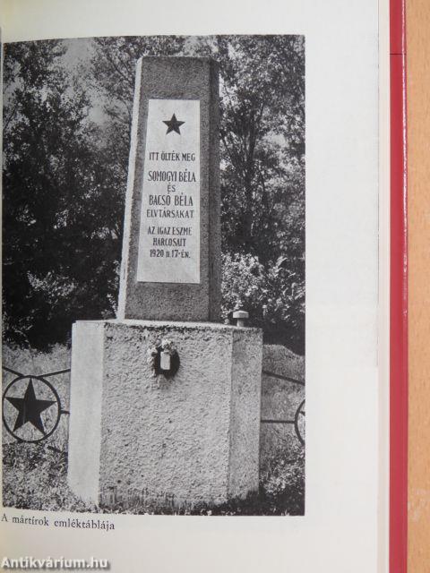 A Somogyi-Bacsó-gyilkosság