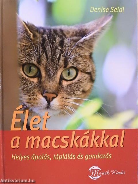 Élet a macskákkal