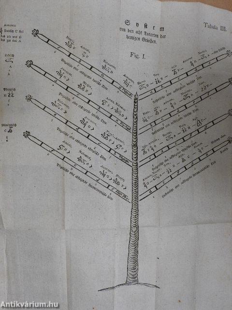 Geschichte des Transalpinischen Daciens II. (gótbetűs)