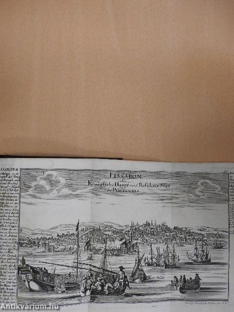 Angestellte Betrachtung über die den 1. November 1755. so ausserordentliche Erddeben und Meeresbewegungen (gótbetűs)