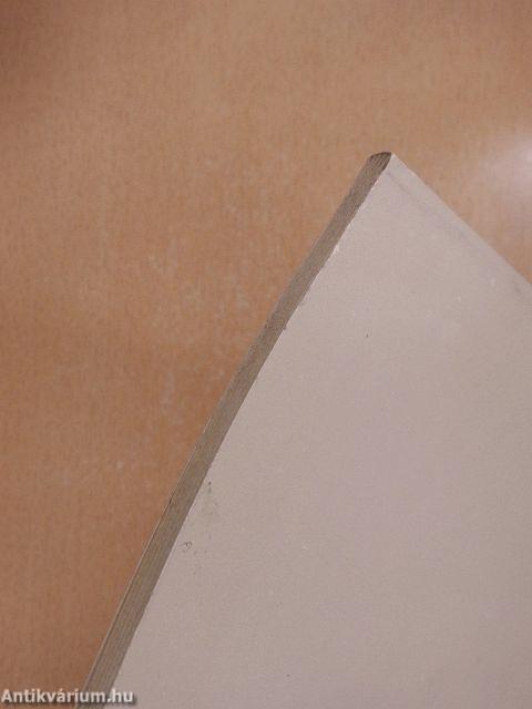 Helyesírásunk hiteléért