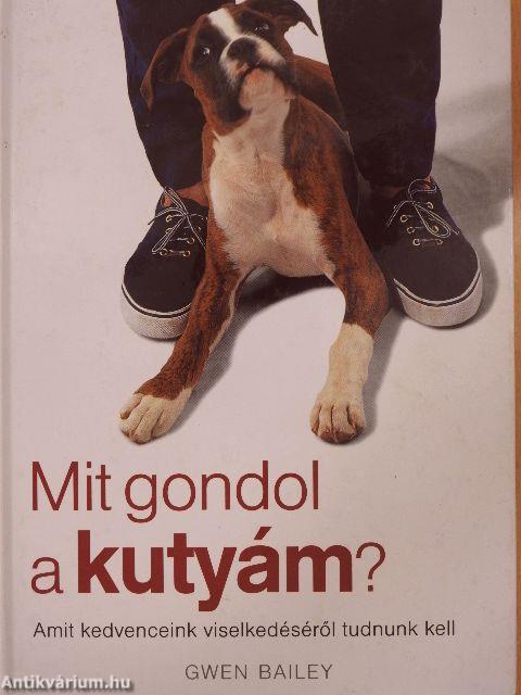 Mit gondol a kutyám?