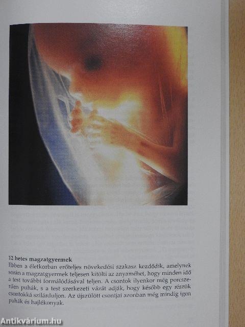 Miért sírsz, Mirjam?