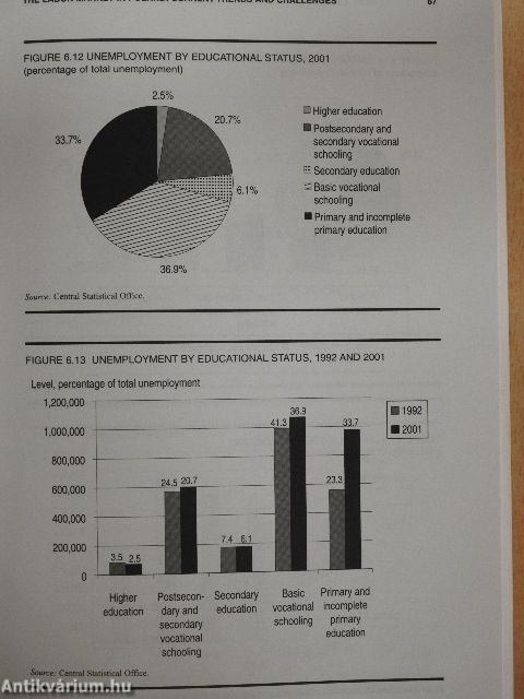 Labor, Employment, and Social Policies in the EU Enlargement Process