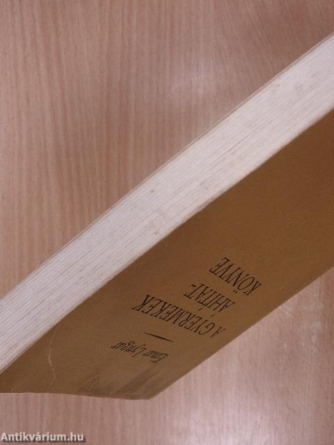 A gyermekek áhítat-könyve