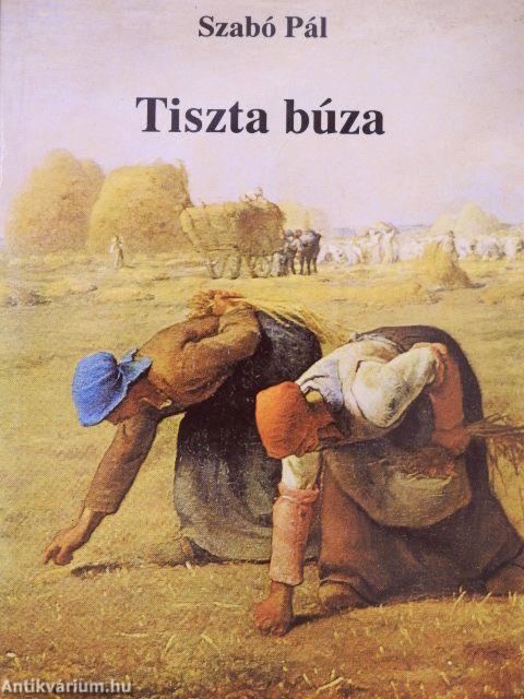 Tiszta búza