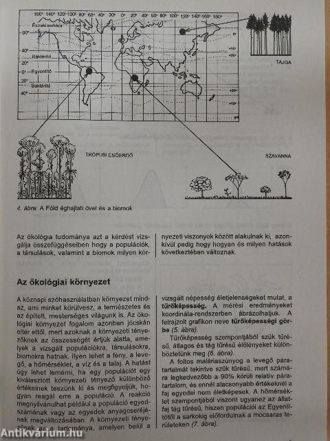 Biológia 12-13 éveseknek