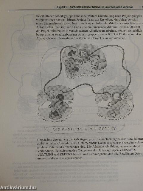 Microsoft Workgroup Add-On für Windows