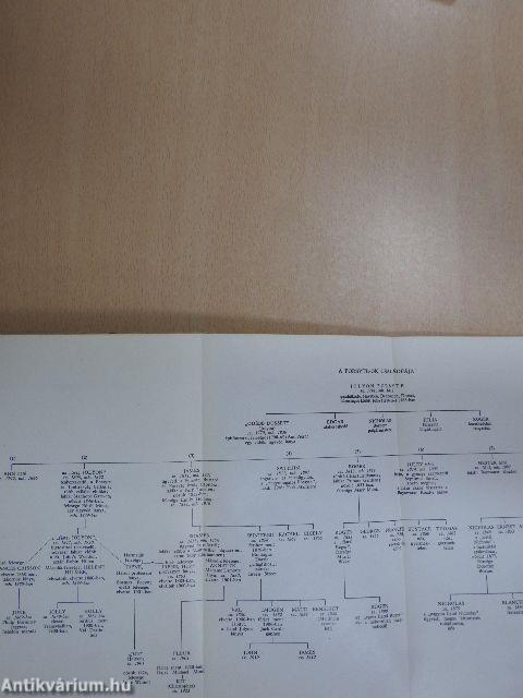 Modern komédia 1-2.