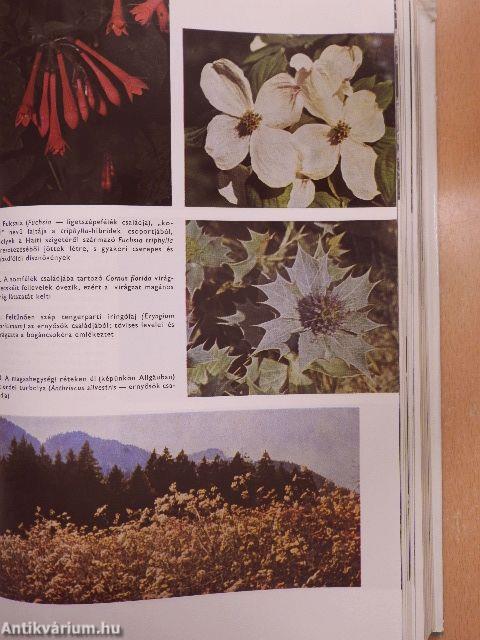 Urania Növényvilág - Magasabbrendű növények II.