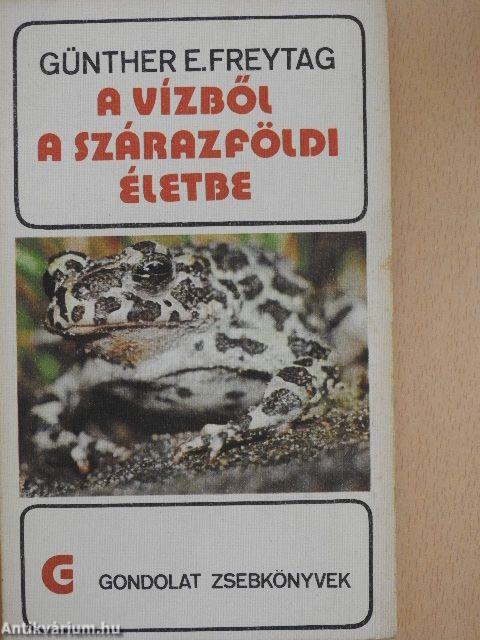 A vízből a szárazföldi életbe