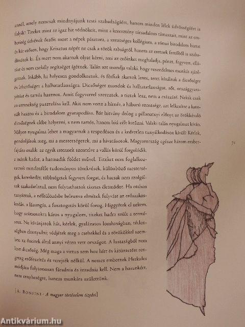 Animus regis - Mátyás király a kortársak szemével