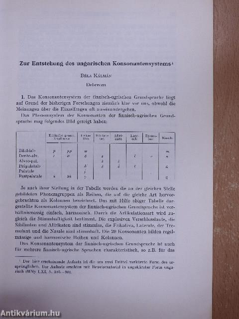 Zur Entstehung des ungarischen Konsonantensystems