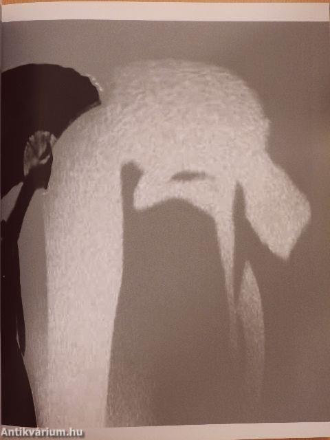 Képeskönyv 2000-2010