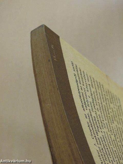 Tanítás sablonok nélkül