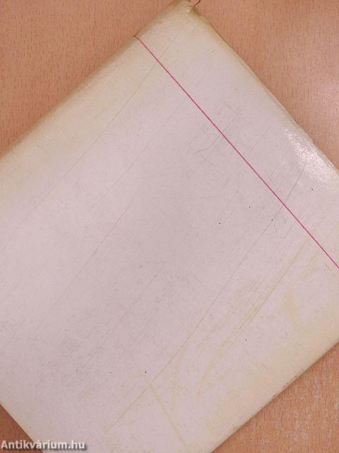 Felfedeztem Amerikát