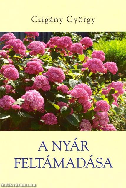 A nyár feltámadása - ÜKH 2017