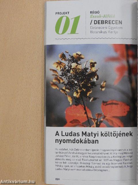 Megújuló örökségünk