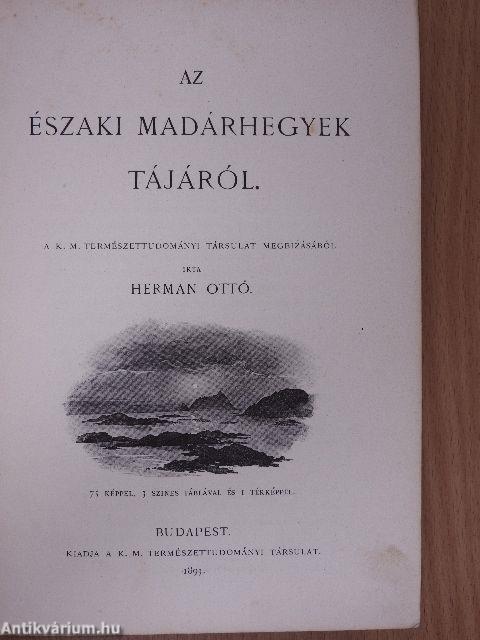 Az északi madárhegyek tájáról