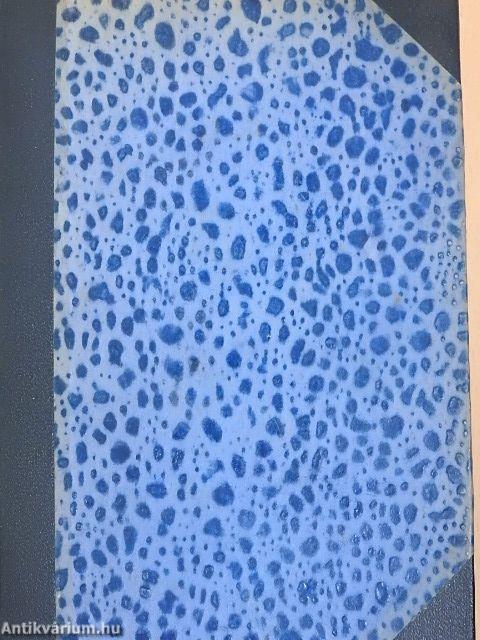 Szent Péter esernyője/A vén gazember