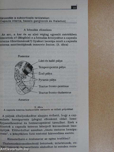 Gyakorlati neurológia