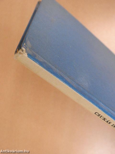 Utazás a szempillám mögött