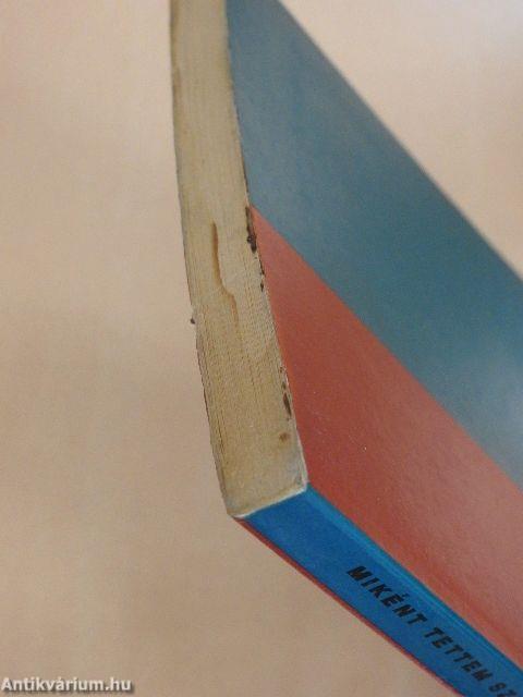 Miként tettem szert 11 millió forintra az elmúlt hat hónapban