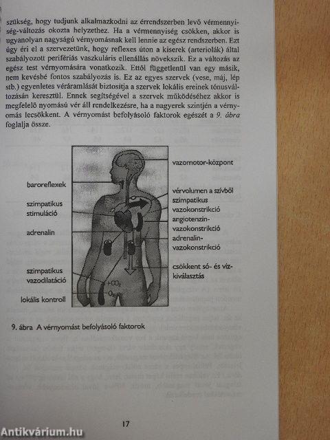 Magas vérnyomás a betegek szemszögéből
