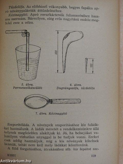 Akvárium, terrárium, szobakert