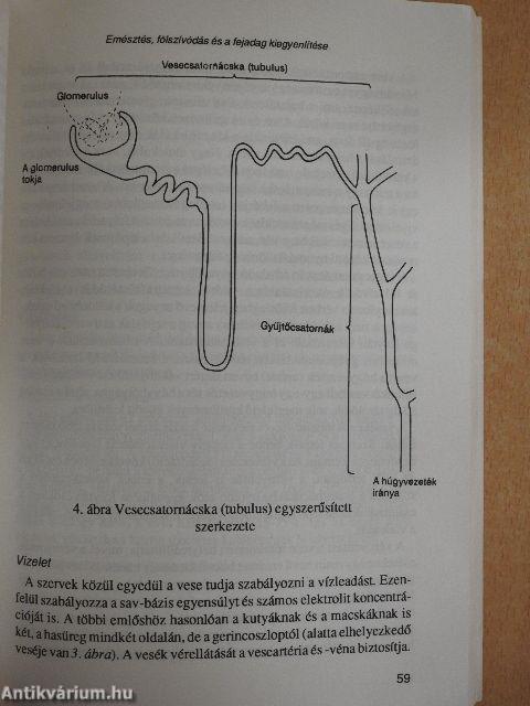 Waltham könyv a kutya és macska táplálásáról