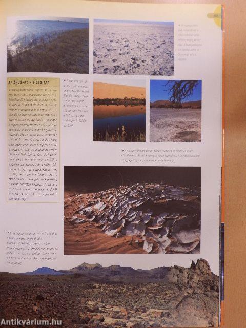 Vadonjárók kalauza