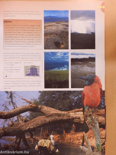 Vadonjárók kalauza