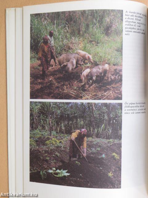 A megsebzett bolygó