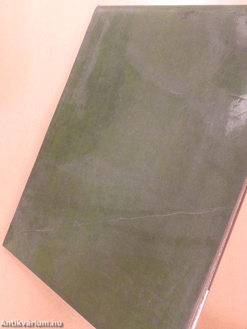 Borsos Miklós üzenete 77 képben