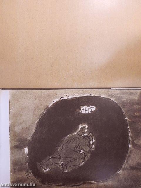 Borsos Miklós üzenete 77 képben