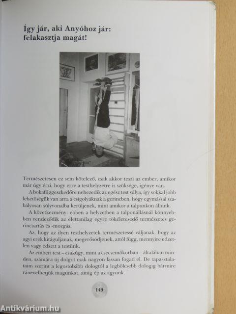 A Nap és a Föld között